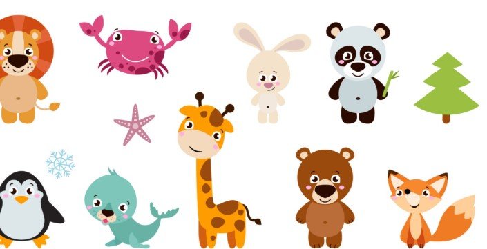 animals name