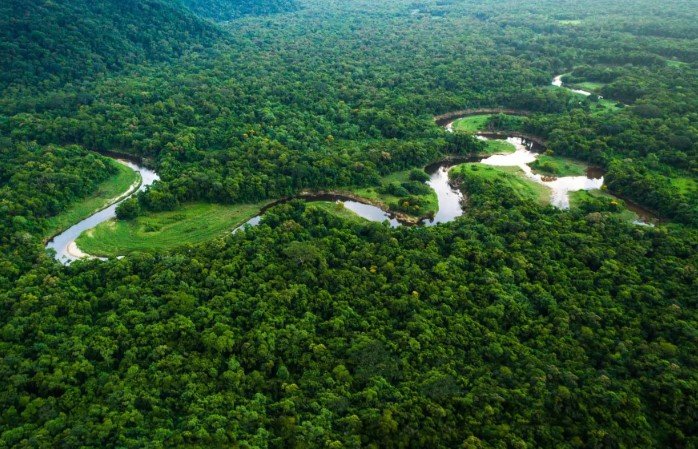 name the rainforest that is so big that the uk and ireland would fit into it 17 times