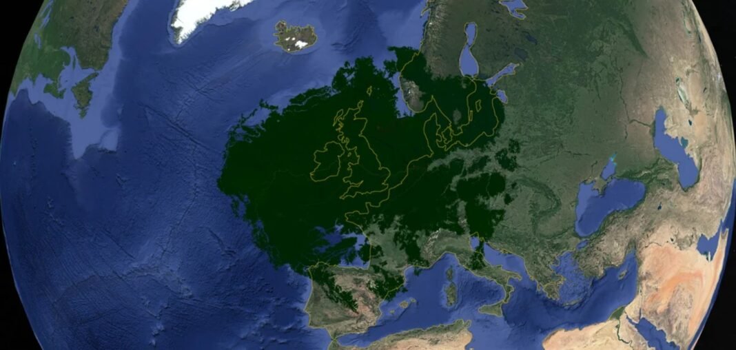 Rainforest That Could Fit the UK and Ireland