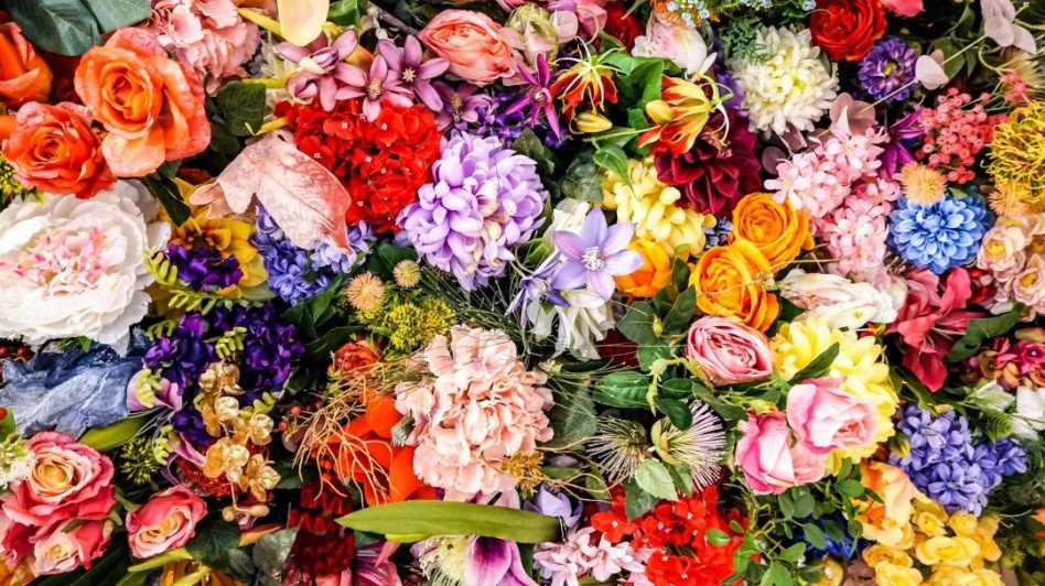Flowers Name Guide: Types, Meanings, and Popular Varieties
